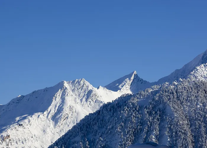 Le Chabichou מלון